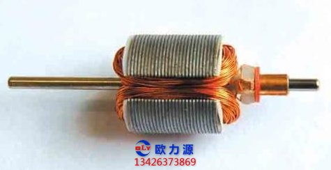 插入式轉子線圈